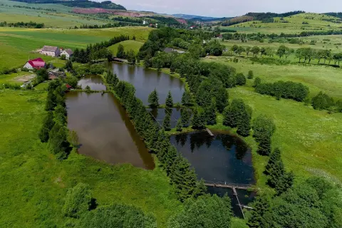 Malownicze łowisko u Mańka w Gołkowicach, otoczone zielenią i wzgórzami. Idealne miejsce na relaks i wędkowanie.