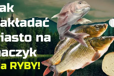 Jak zakładać ciasto na haczyk, aby poprawić swoje połowy ryb