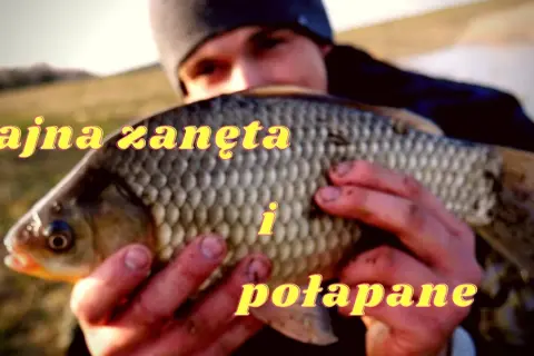 Domowa zanęta na karasia: skuteczny przepis na udane wędkowanie