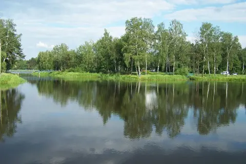 Łowisko Kamionka - odkryj tajemnice zbiornika i wędkarstwa w regionie