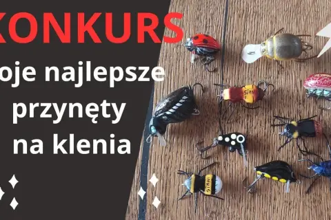 Najlepsze przynęty kleniowe: jak złapać klenie w każdych warunkach