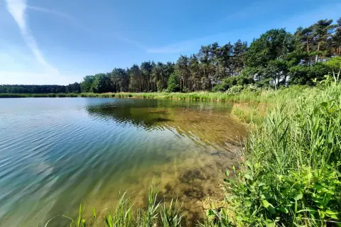 Spokojne łowisko u Macieja. Czysta woda, piaszczyste dno i bujna zieleń nad brzegiem zapraszają na relaks.