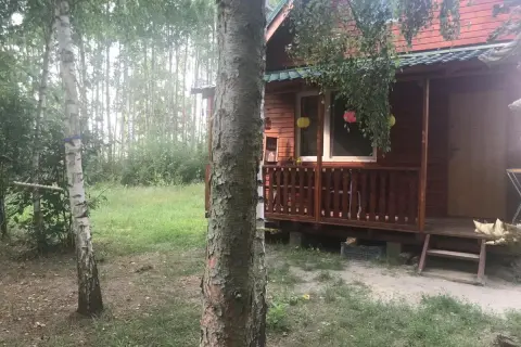 Drewniany domek na łowisku Admar w Dąbiu Lubuskim, otoczony zielenią i drzewami.