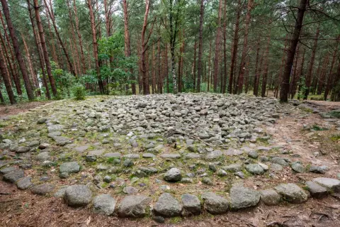 Kamienne kręgi w lesie, tajemnicza stanica.