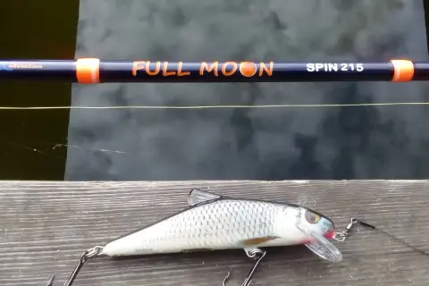 Jaki spinning na szczupaka z brzegu? Wędka "Full Moon Spin 215" i realistyczna przynęta czekają na wodzie.