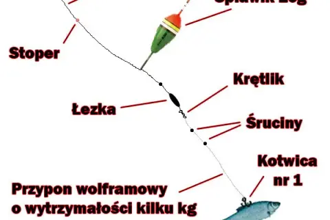 Jak przygotować wędkę na grunt, aby złowić więcej ryb?