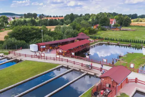 Smażalnia i łowisko pstrągów pod dębem. Woda, ryby i zielone trawniki tworzą malowniczy krajobraz.