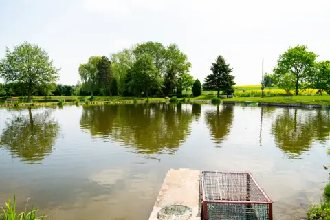 Fischland łowisko i smażalnia ryb. Spokojna woda, zielone drzewa i ławki zapraszają na relaks i wędkowanie.