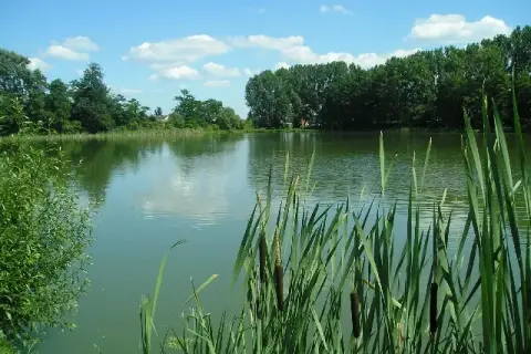 Idealne łowisko w Dawidach - poznaj najlepsze miejsca na ryby
