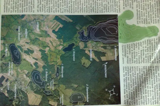 Mapa z zaznaczonym jeziorem Dominickim, kanałami i innymi jeziorami. Widać kontury dna, sugerujące obecność ryb.