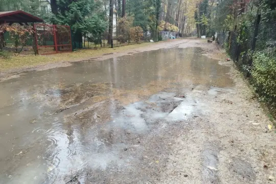 Po ulewnym deszczu powstał duży staw na drodze w Sokolnikach w lesie. Woda odbija drzewa i niebo.
