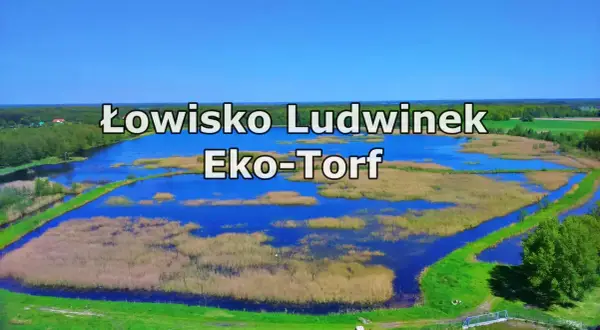 Łowisko Ludwinek Eko-Torf, malowniczy zbiornik wodny otoczony trzcinami i zielenią, idealne miejsce dla wędkarzy.