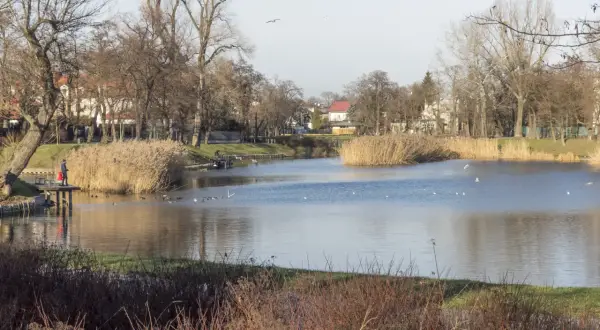 Spokojne stawy cietrzewia w Warszawie, z ludźmi na pomoście i ptakami pływającymi po wodzie, otoczone drzewami i trzcinami.