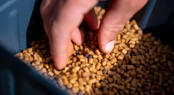 Dłoń miesza pellet wędkarski w pojemniku. To kluczowy etap, jak zrobić pellet wędkarski, by był idealny na łowisko.