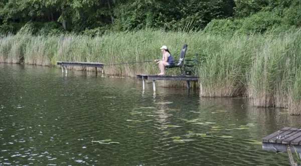 Kobieta siedzi na pomoście, łowiąc ryby. Wokół trzciny i las. Idealne łowisko rybie oko.
