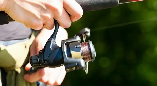 Żyłka czy plecionka na spinning: co wybrać, by nie żałować?