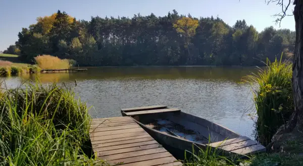 Łowisko agroturystyczne z łódką przy pomoście. Stawy otoczone lasem, jesienne barwy drzew.