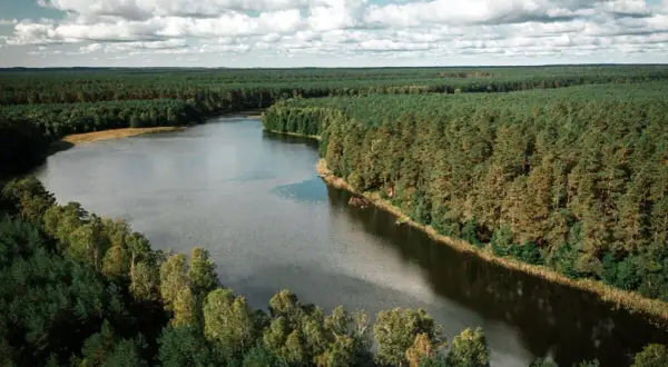 Malownicze jezioro otoczone lasem. Sprawdź jezioro miłoszewskie cennik i zaplanuj wypoczynek.