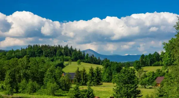 Zielone wzgórza, lasy i góry tworzą krajobraz jak z bajki. Dwa konie pasą się na łące, a w oddali widać szczyt góry. To idealne miejsce na spacer po parku mega ryb.