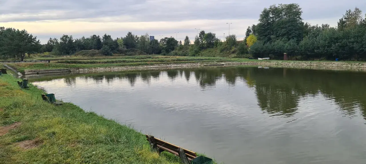 Spokojne łowiska komercyjne na Dolnym Śląsku, z zielonymi brzegami i odbijającymi się w wodzie drzewami.