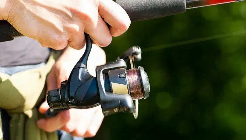 Żyłka czy plecionka na spinning: co wybrać, by nie żałować?