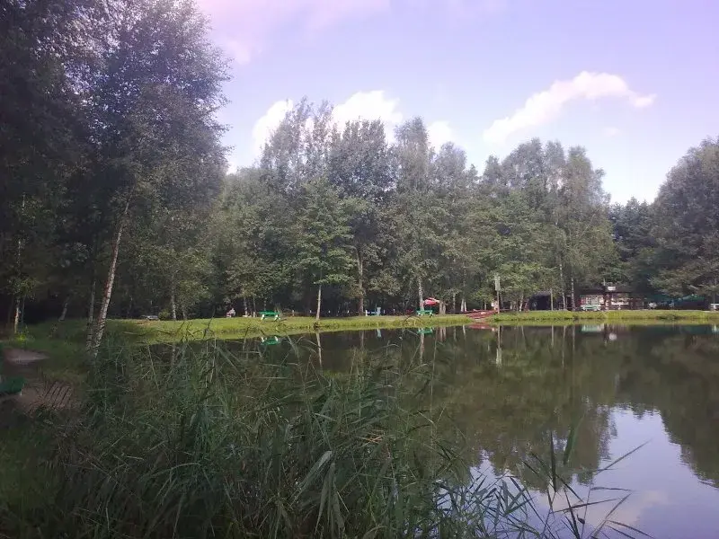 Najlepsze łowiska komercyjne w Śląsku – uniknij rozczarowania wędkarskiego