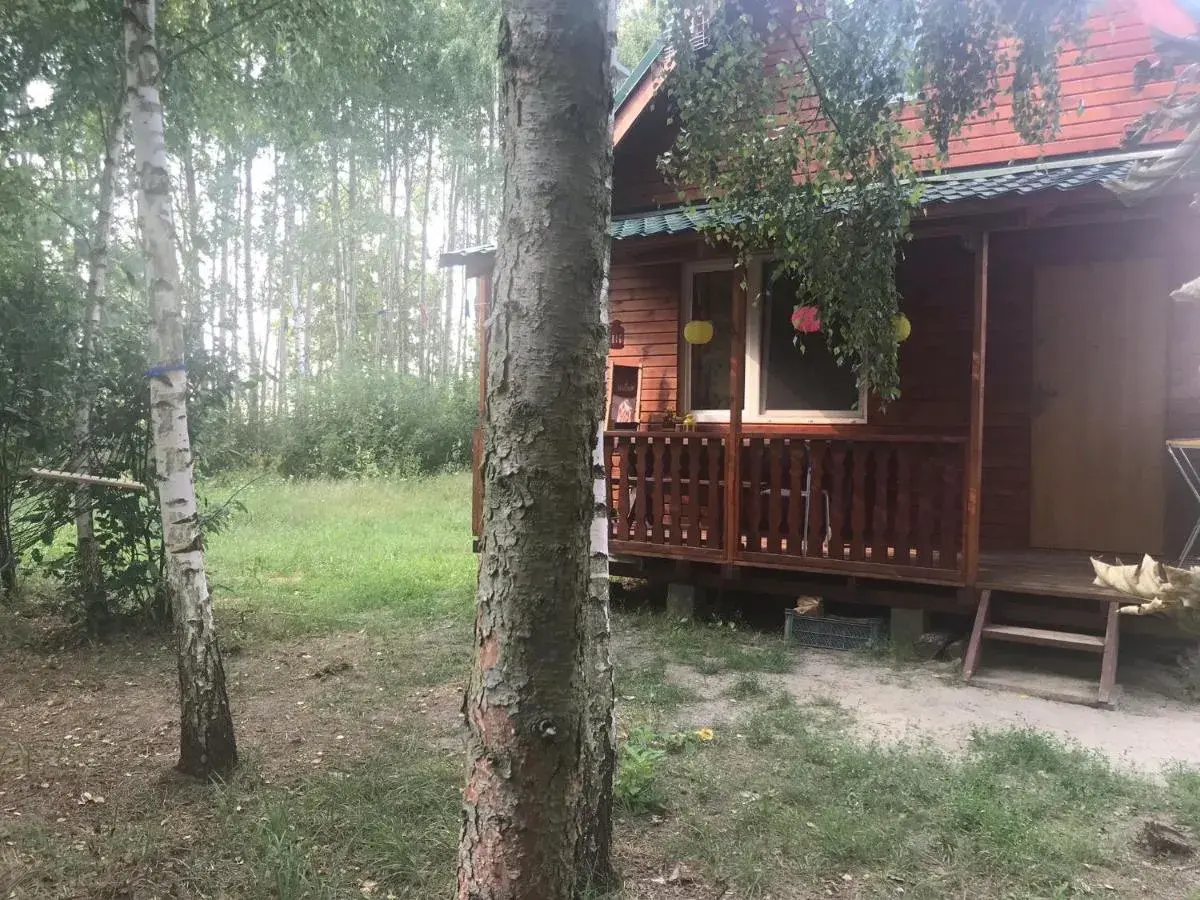 Drewniany domek na łowisku Admar w Dąbiu Lubuskim, otoczony zielenią i drzewami.