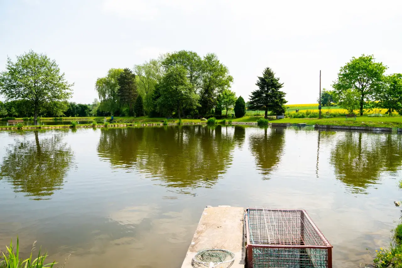 Fischland łowisko i smażalnia ryb. Spokojna woda, zielone drzewa i ławki zapraszają na relaks i wędkowanie.