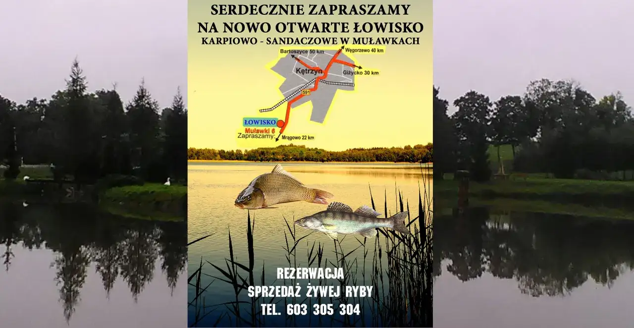 Zapraszamy na łowisko w Muławkach 6. Sprawdź cennik i zarezerwuj termin. Sprzedaż żywej ryby. Tel. 603 305 304.