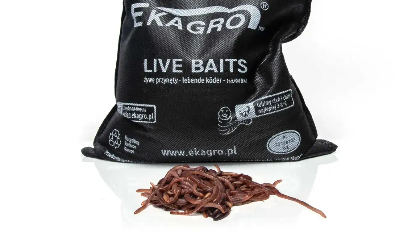 Żywe przynęty z hodowli czerwonego robaka. Ekagro oferuje robaki na sklep.ekagro.pl.