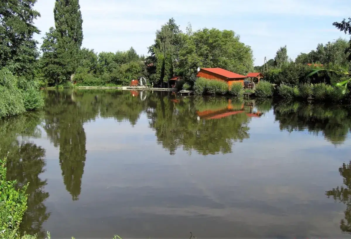 Ośrodek w Dębnie Andrzeja Oberta to idealne miejsce na agroturystykę, turystykę i wypoczynek nad spokojnym jeziorem.