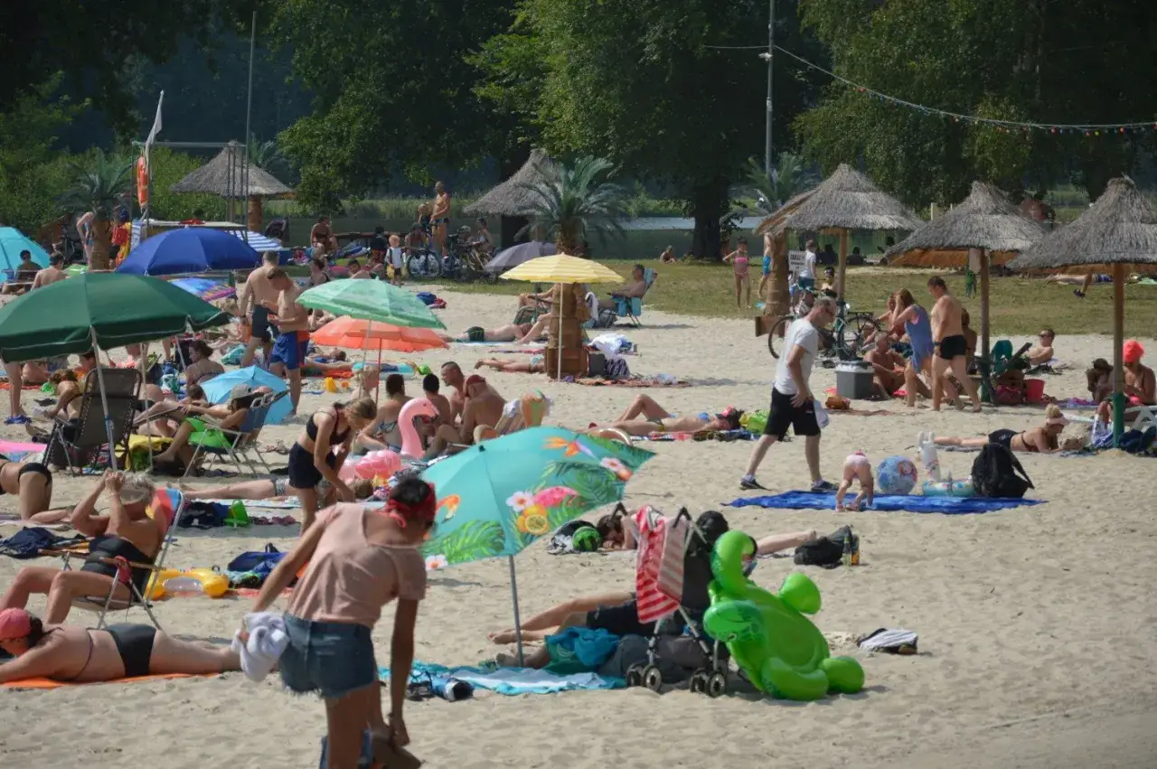 Słoneczna plaża nad zalewem w Małomicach tętni życiem. Ludzie odpoczywają pod parasolami, opalają się i bawią.
