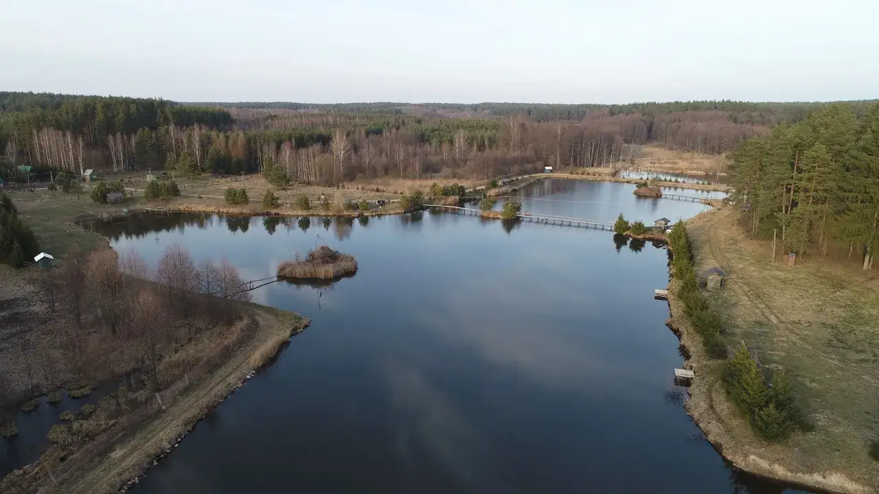 Agroturystyka leśna cisza Leszczany: malownicze stawy z pomostami, otoczone lasem i zielenią. Idealne miejsce na wypoczynek.