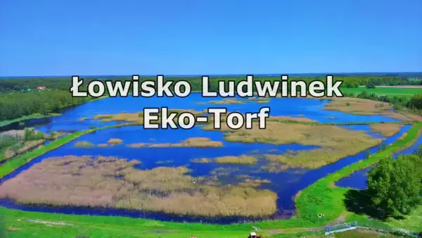 Łowisko Ludwinek Eko-Torf, malowniczy zbiornik wodny otoczony trzcinami i zielenią, idealne miejsce dla wędkarzy.