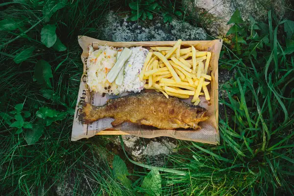 Smażony karp z frytkami i surówką, idealny wybór z menu Stawy Biskupie.