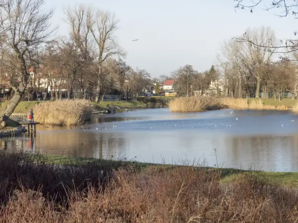 Spokojne stawy cietrzewia w Warszawie, z ludźmi na pomoście i ptakami pływającymi po wodzie, otoczone drzewami i trzcinami.