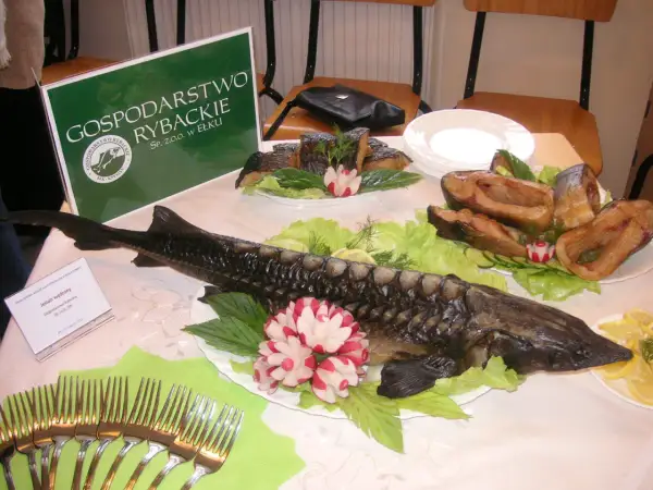 Wędzony jesiotr i inne ryby z gospodarstwa rybackiego Ełk, ozdobione warzywami i ziołami.