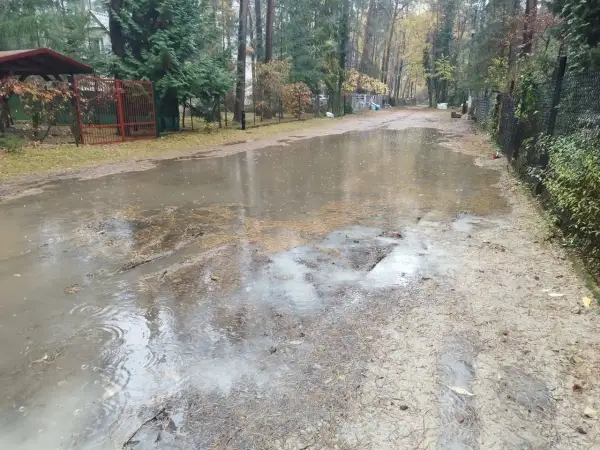 Po ulewnym deszczu powstał duży staw na drodze w Sokolnikach w lesie. Woda odbija drzewa i niebo.