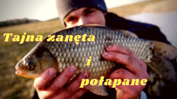 Domowa zanęta na karasia: skuteczny przepis na udane wędkowanie