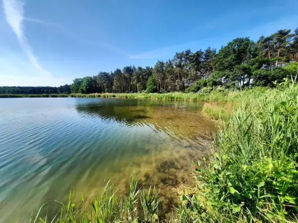 Spokojne łowisko u Macieja. Czysta woda, piaszczyste dno i bujna zieleń nad brzegiem zapraszają na relaks.
