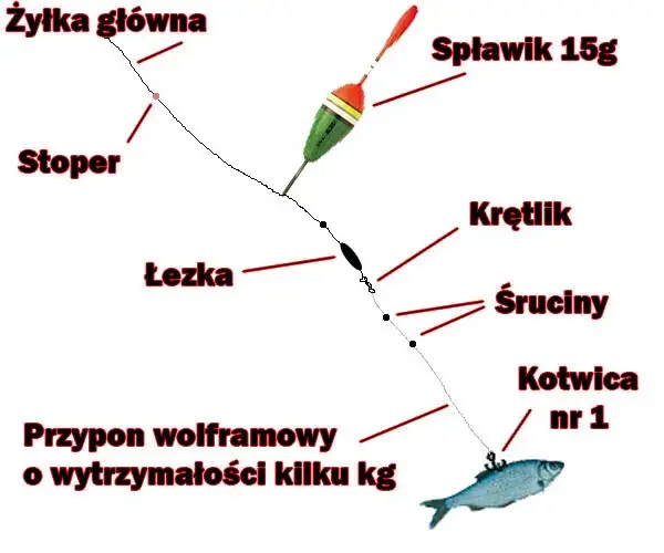 Jak przygotować wędkę na grunt, aby złowić więcej ryb?