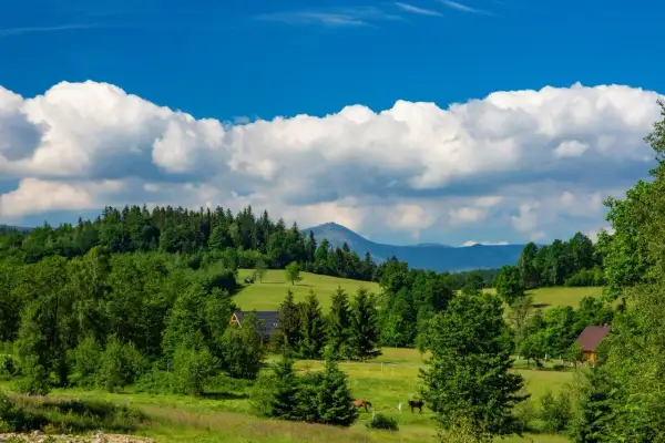 Zielone wzgórza, lasy i góry tworzą krajobraz jak z bajki. Dwa konie pasą się na łące, a w oddali widać szczyt góry. To idealne miejsce na spacer po parku mega ryb.